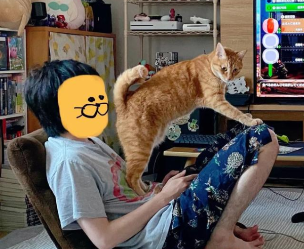 In order to help the owner quit games, Orange Cat actually did this... It feels so delicious