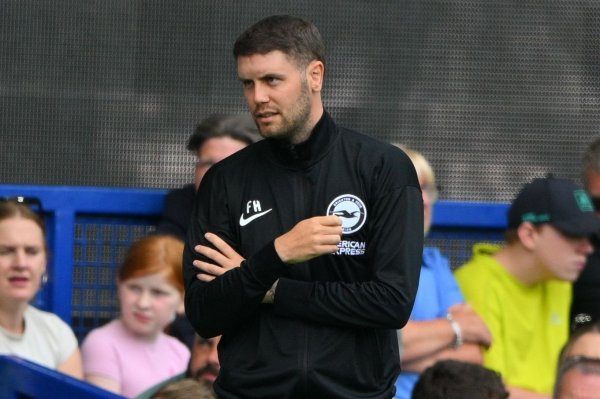 Brighton coach: Football is not all about tactics; Milner can help the team