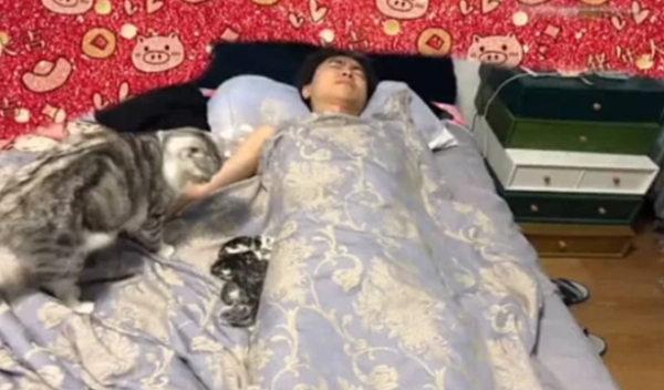 My wife turned over in her sleep and yelled not to move. She turned around and almost died.